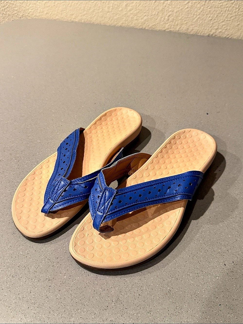 Blue & Tan Flip Flop Sandals